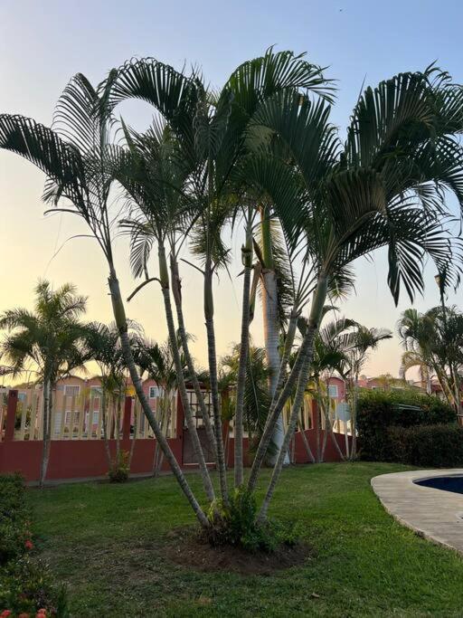 Casa Con Alberca A 8 Min De Playa Leilighet Ixtapa  Eksteriør bilde